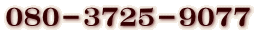 080-3725-9077