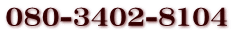 080-3402-8104